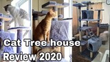 ✅Cat Tree - Cat tower house review 2020| Luxury four layers cat tree condo!