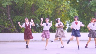 [Xibai × Raw Grass Zoo] Welcome to Raw Grass Zoo! 【Everyone arrives】