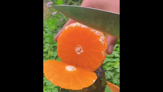 🍊