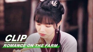 Aunt He Stole Maner’s Money | Romance on the Farm EP16 | 田耕纪 | iQIYI