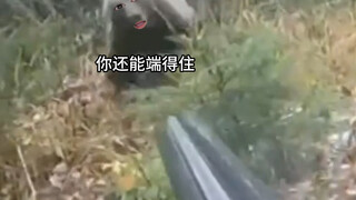 是我的话，第一次冲过来就砰了