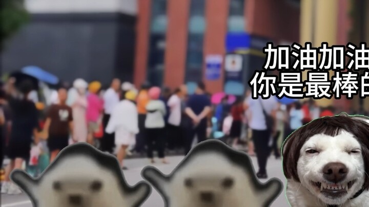 الشمال يرافق الامتحان VS الجنوب يرافق الامتحان.