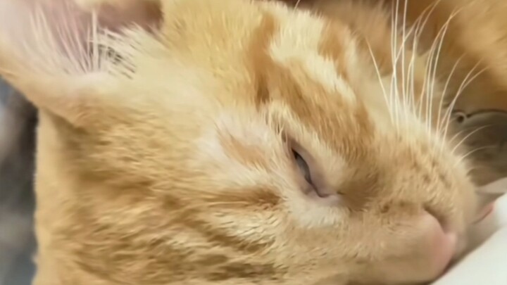 It’s no longer a matter of whether I’m asleep or not.