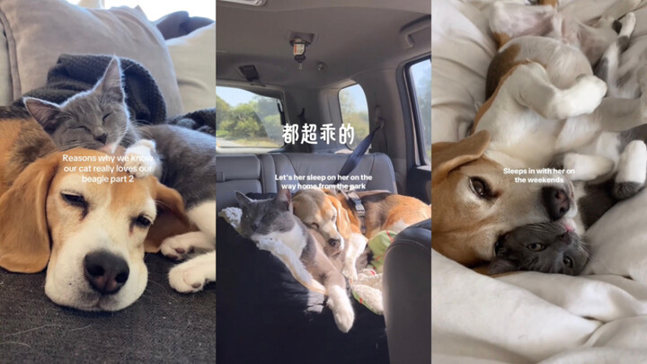 Hai bé dễ thương quá🥰