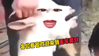 蛋宰派对