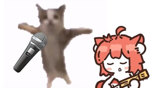 แมวมีความสุขแต่ฉันทำมันได้เป็นโสด