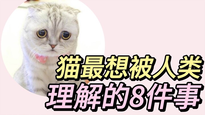 Những điều mèo nhà bạn muốn nói với bạn đều gói gọn trong phút này.