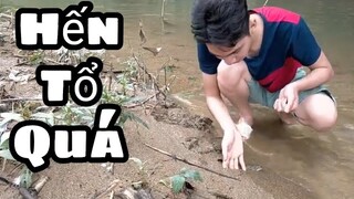 Quang Vlog | Săn Bắt Hái Lượm | Đãi Hến Và Ốc Suối