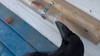 Raven: Aku pikir kau sengaja mempersulitku, Raven.