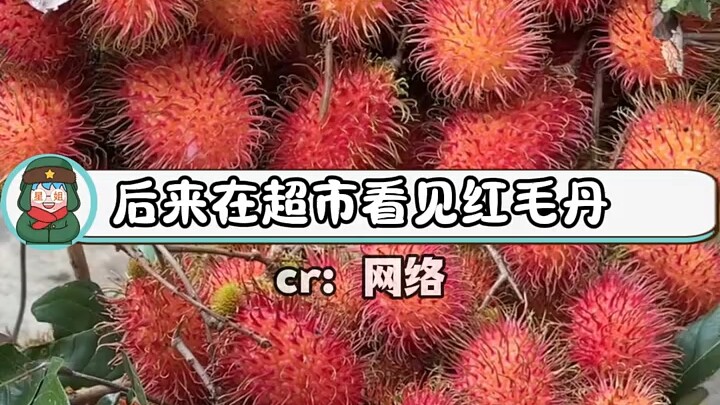Back then, rambutan was considered a very high-end fruit—#Kindness #TotallyUnexpected #Family #Rambu
