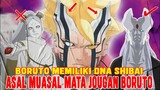 BORUTO MEMILIKI DNA SHIBAI❗ASAL MUASAL MATA JOUGAN BORUTO❗JOUGAN ADALAH SHINJUTSU❗TWO BLUE VORTEX❗