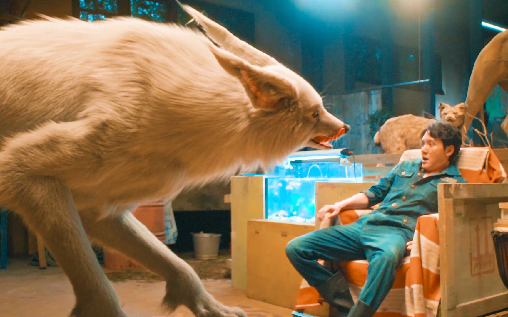 Inventory of the man who turns into an animal in the movie Part 2 - Bilibili Inventory of the man who turns into an animal in the movie Part 2 - Bilibili