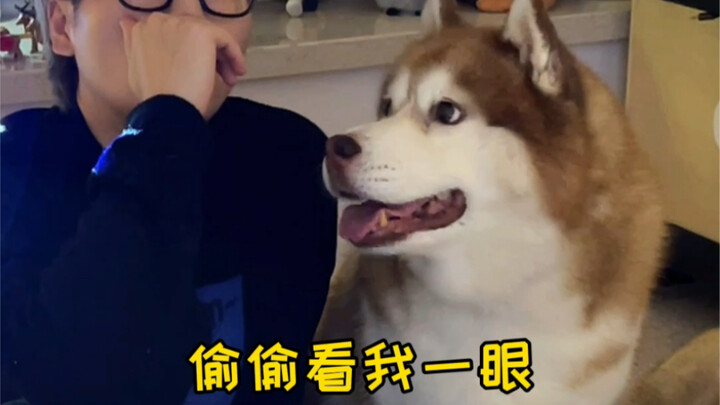 หลังเลี้ยงหมาแล้วเพิ่งรู้ว่าสิบปีช่างสั้นเหลือเกิน…ช่างสั้นจริงๆ…