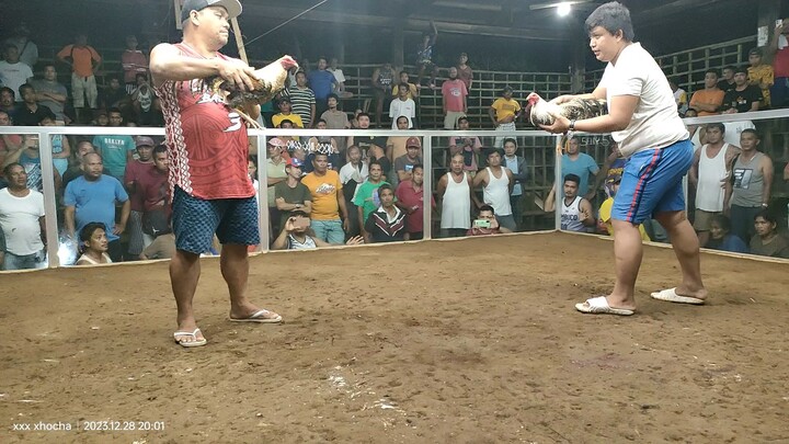 poyloyTari tutorial #10 loss