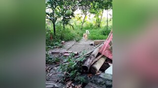 2 vợ chồng rủ nhau trốn đi chơi. cunyeucuadua yeucho yeuchomeo cún cúncon chó chómèo chócon chókhôn yeuchomeo chócute pet dog