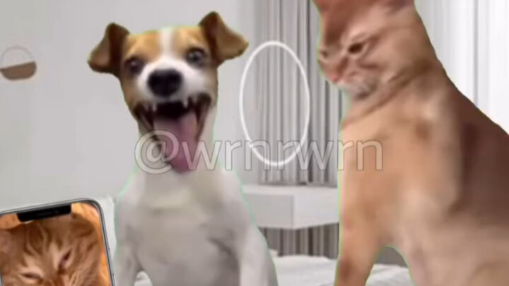 He took an ugly photo of you, and now it’s his absolute favorite.