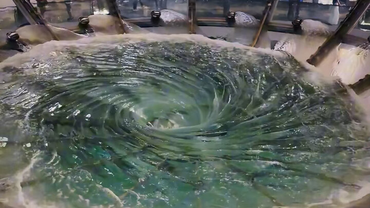 Nơi này có thể bơi được không?