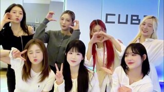 Berkunjung ke perusahaan hiburan Korea untuk meminta girl grup mengajariku menari