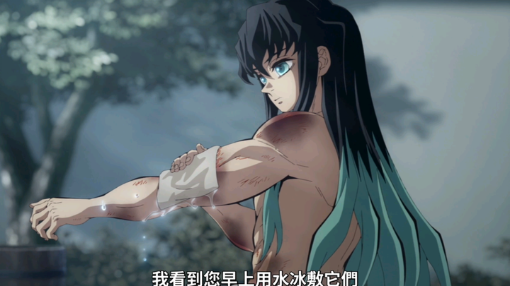 霞柱每天都和风蛇两柱训后切磋，被打的浑身淤青，一切都是为了杀死无惨啊.....