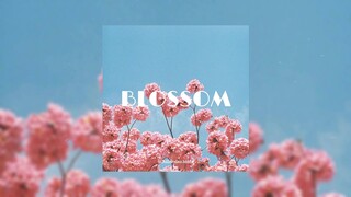 (FREE FOR PROFIT) Chill R&B Guitar x Pop Type Beat - "Blossom"