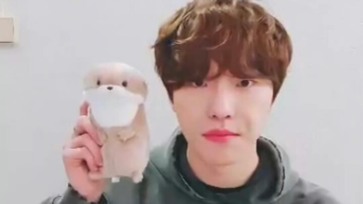 【Lý Xán】Chồn rái cá cho chồn rái cá uống nước, đáng yêu quá mức luôn!