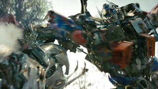 [The highest 4k quality IMAX full frame with Chinese and English subtitles] 2 famous scenes of jungl