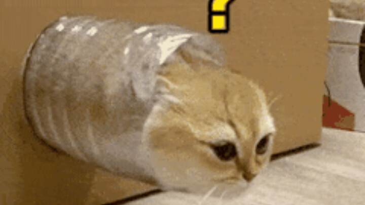 คนเบื่ออาหาร: หิวตายแล้ว สั่งเหมือนกันคนละหนึ่งชุดเลย อาหารมาถึง: เห็นแล้วก็อิ่มเลย #ความอยากอาหาร #