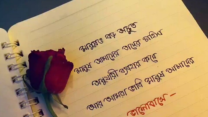 মানুষ আমাদের তাদের চাহিদা**অনুযায়ী ব‍্যবহার করে…!💔😅