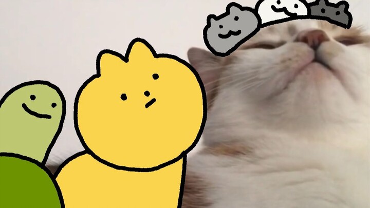 【Xixi】Menyanyikan sebuah lagu di telinga si Kucing Kecil