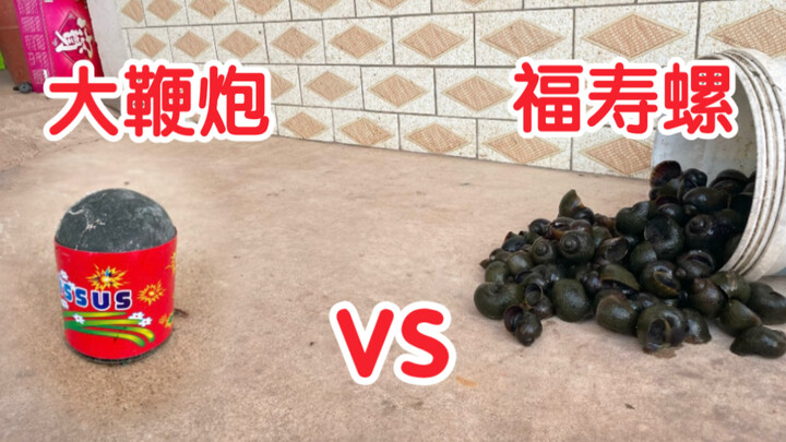 Ném một “ngư lôi” cỡ lớn vào trong ốc bươu vàng, châm lửa rồi cho nổ tung bay cả con ốc!