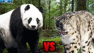 Giant Panda vs Snow Leopard | SPORE