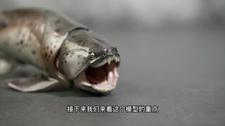 Đánh giá Dunkleosteus của PNSO