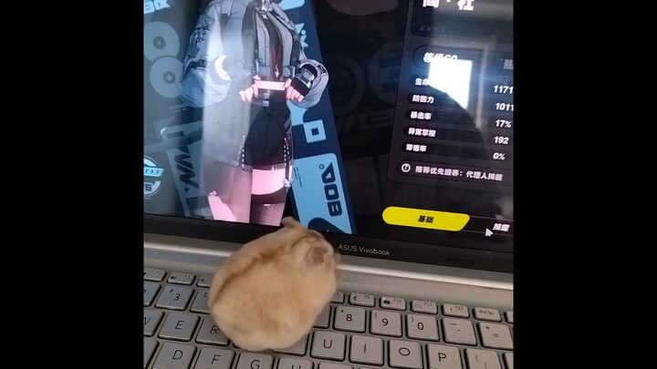 Found a 2D anime-style girlfriend for the mouse!