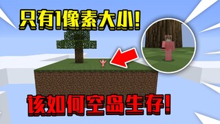 What if you start with just a 1-pixel character? How can you survive on an empty island!