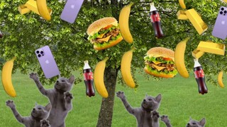 หว่านแตงก็ได้แตง หว่านถั่วก็ได้ถั่ว