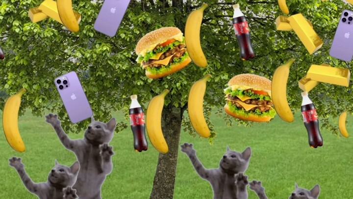 Menanam semangka akan mendapat semangka, menanam kacang akan mendapat kacang.