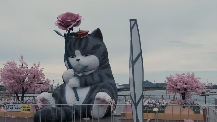 “The big cat is about to leave—go take one last look at it.”