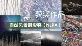 「摄影审美提升」2024自然风景摄影奖（NLPA）获奖作品