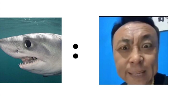 Hiu: Kalian begitu egois 😭😅