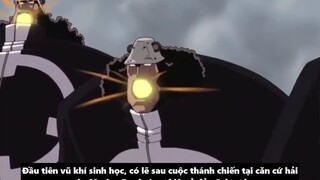 SSG Có Vai Trò Như Thế Nào Đối Với Hải Quân – Nguồn Gốc & Sức Mạnh p4