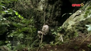 Tập 3 kỹ năng sinh tồn bear grylls chống chọi với thiên nhiên miền nam Trung Quốc