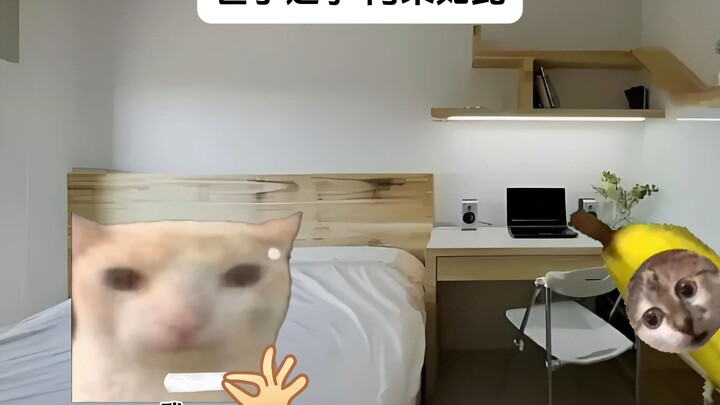 Cuộc tranh giành thế tử xưa nay vẫn vậy