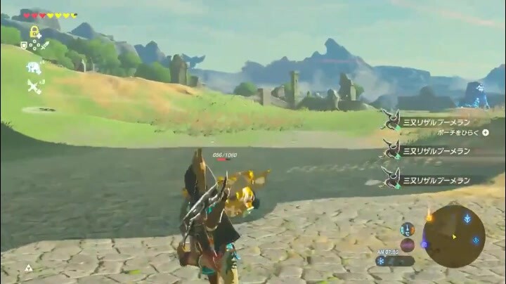 Switch The Legend of Zelda Infinite Boomerang Tips