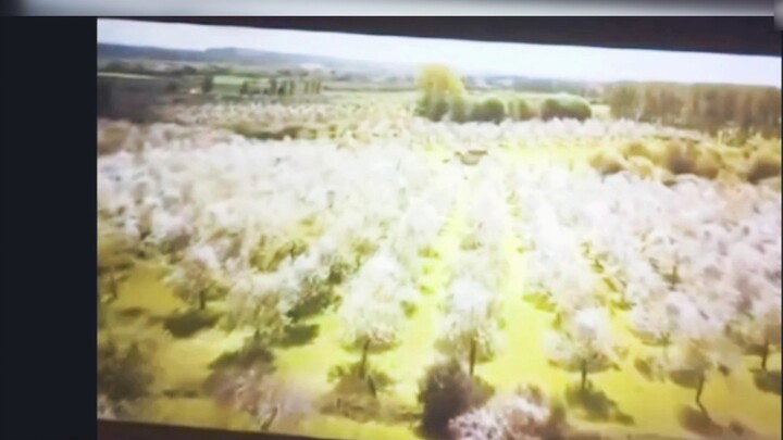 [Film&TV][Spider-Man] Dr. Strange asks for help from Scarlet Witch