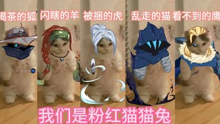 该视频收入用于给队伍购买大脑