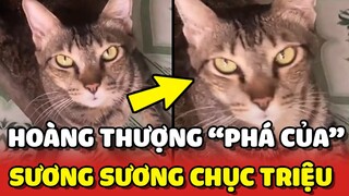 Hoàng Thượng bị BÓC PHỐT vì "PHÁ CỦA" sương sương CHỤC TRIỆU 😂 | Yêu Lu