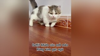 Ai thích cô hầu gái này khum ? mèo cat cohaugai
