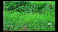 "Thai (Comedy"Horror" ) Tagalog Dub, Full'Movie enjoy'watching ? 📺🤭👻🎃