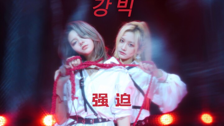 [Zhang Xin & Hao Jingyi] Stray Kids' "Forced" Red Lights COVER