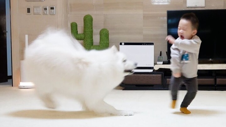 Phản ứng lần đầu tiên của em bé khi nhìn thấy chó lớn sau khi chào đời